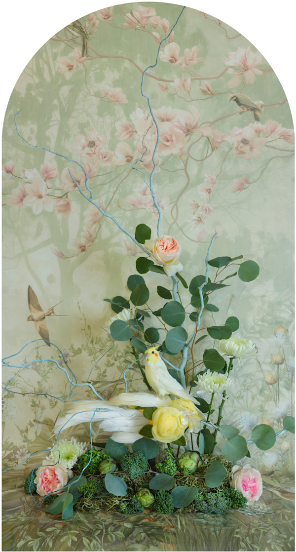 Cockatiel with Broccoli Nesting by JP Terlizzi