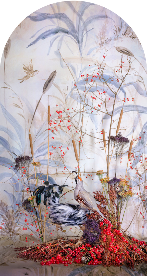 Gambel's Quail with Berries Nesting by JP Terlizzi, Image 1.