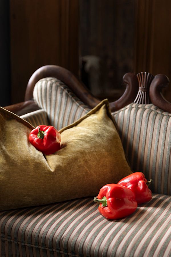 Peppers Resting by JP Terlizzi, Image 1.