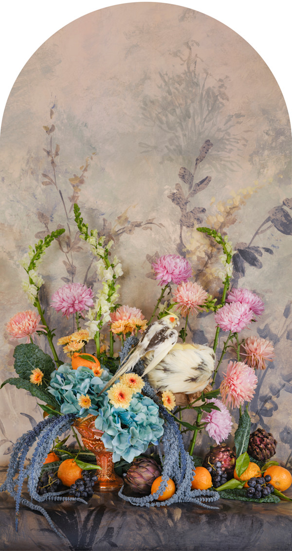 Pied Cockatiel with Mandarins Nesting by JP Terlizzi, Image 1.