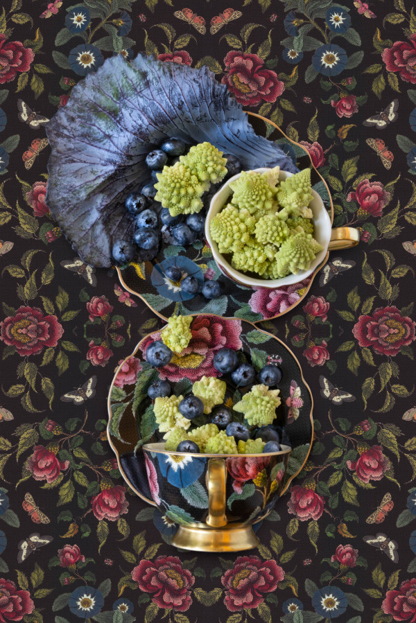 Spode Creatures of Curiosity with Romanesco by JP Terlizzi