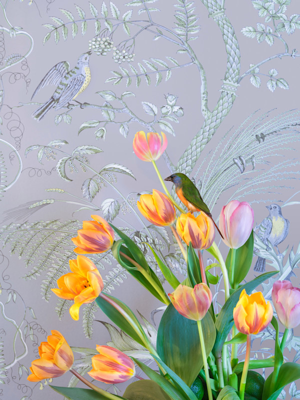 Spring's Promise by JP Terlizzi, Image 1.