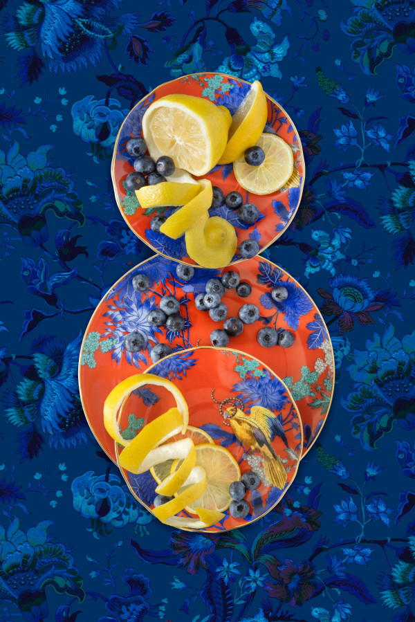 Wedgwood Golden Parrot with Blueberry Lemons by JP Terlizzi