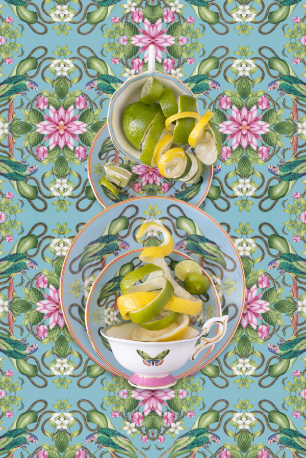 Wedgwood Menagerie with Citrus by JP Terlizzi
