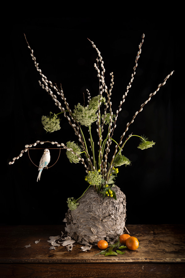 Willows Nest by JP Terlizzi, Image 1.