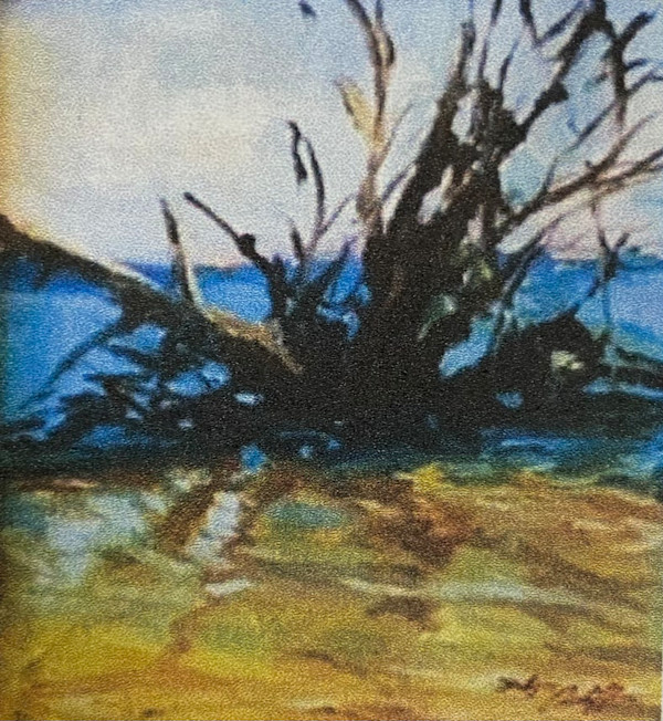 Roots by Katie Dobson Cundiff