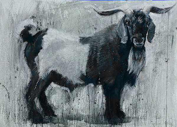 Goat by Katie Dobson Cundiff