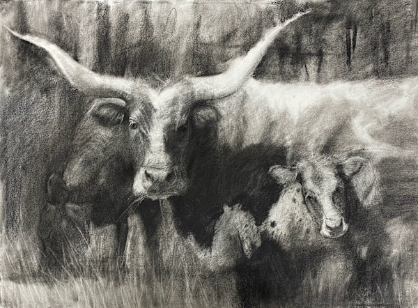 Longhorn Love by Katie Dobson Cundiff