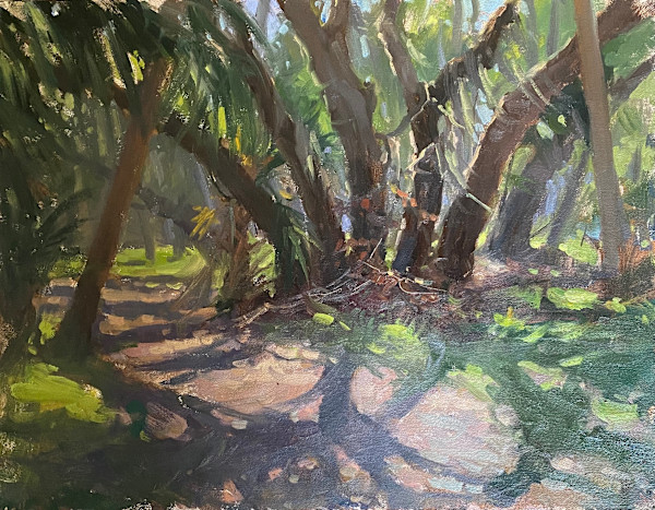 Myakka Morning by Katie Dobson Cundiff