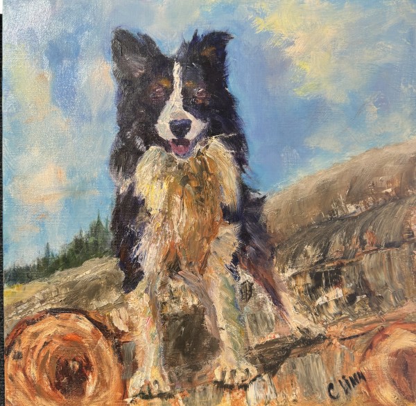 Finn The Wonder Dog by Claudia Lima