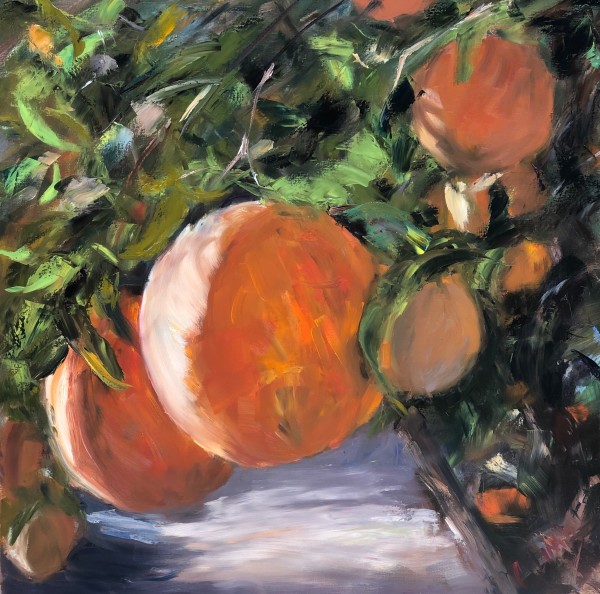 Orange Grove by Claudia Lima