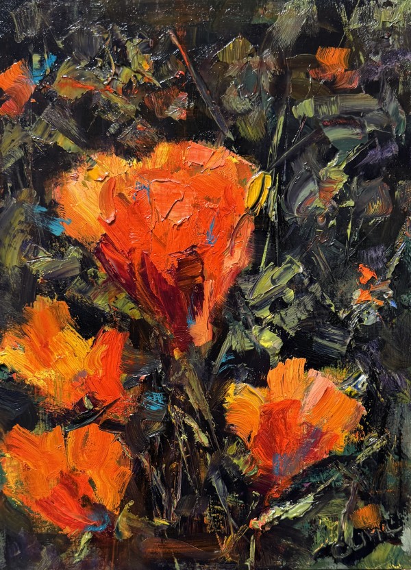 Garden Poppies by Claudia Lima