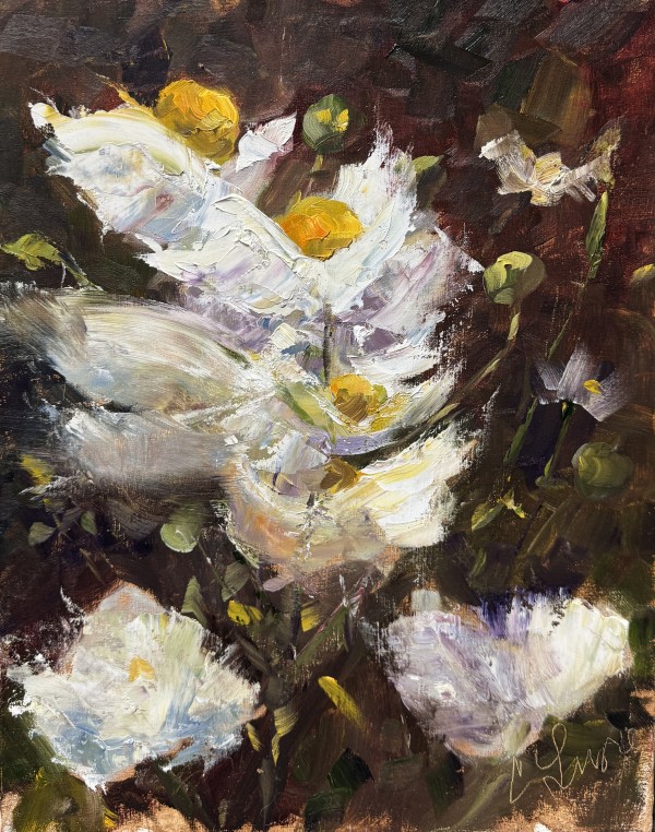 Matilija Poppies by Claudia Lima