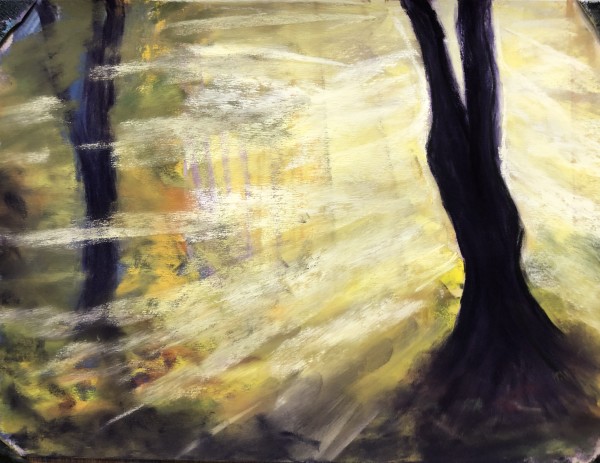 The light Through The Pines by G. Matthew Dixon
