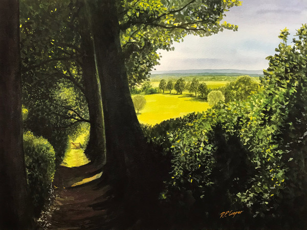 VIEW FROM CRAYKE LANE by Dave P. Cooper