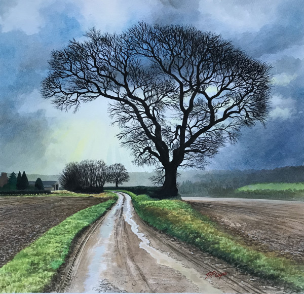 HOWARDIAN_TREE_I by Dave P. Cooper