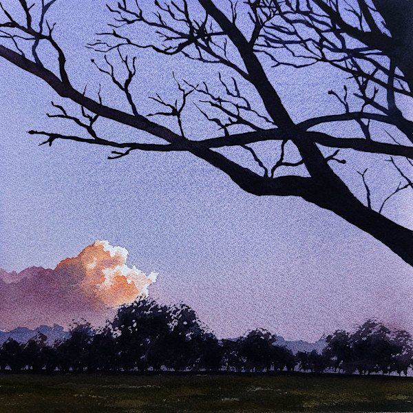 LAST RAYS by Dave P. Cooper
