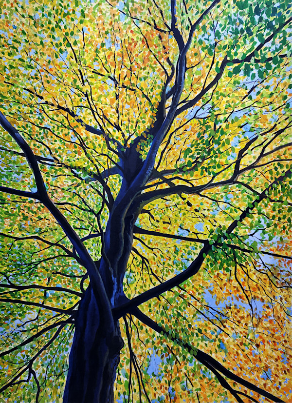 AUTUMN TREE ROUNDHAY PARK by Dave P. Cooper