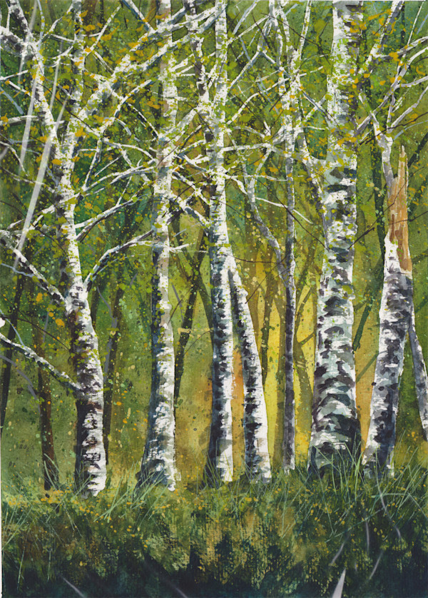 CANT SEE THE TREES FOR THE WOOD by Dave P. Cooper