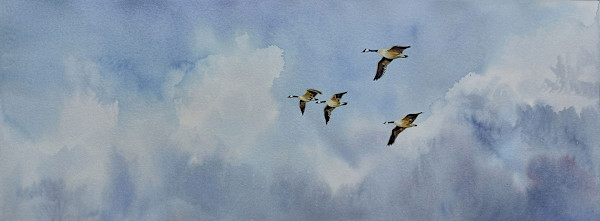 FLYBY by Dave P. Cooper