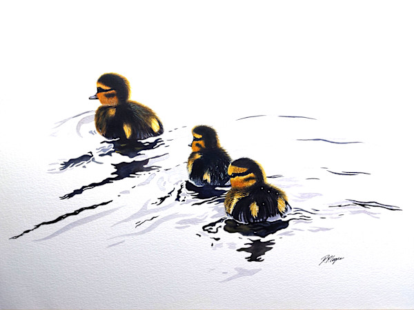 FOLLOW MY LEADER by Dave P. Cooper