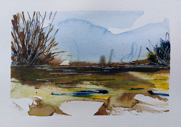THE MARSHES 02 by Dave P. Cooper