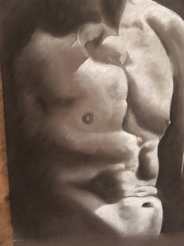Chest of a Nude Male by John Vernon Nelson