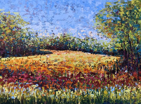 Wild Flower Meadow by Karin Neuvirth