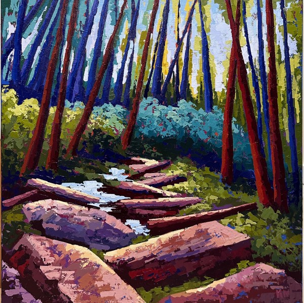 Rocky Cascade by Karin Neuvirth