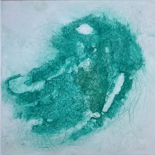 Black Sea Nettle Jelly Fish by Scott D.S. Young