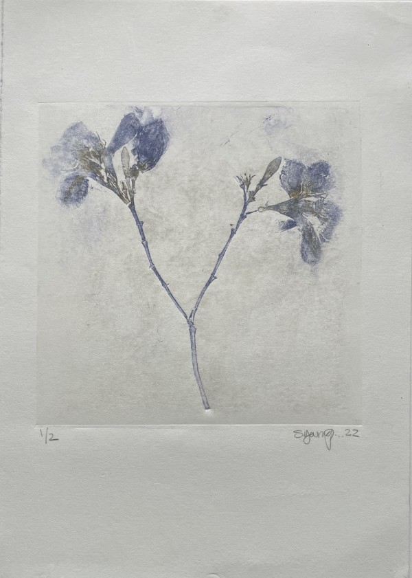 Wild Blue Iris by Scott D.S. Young