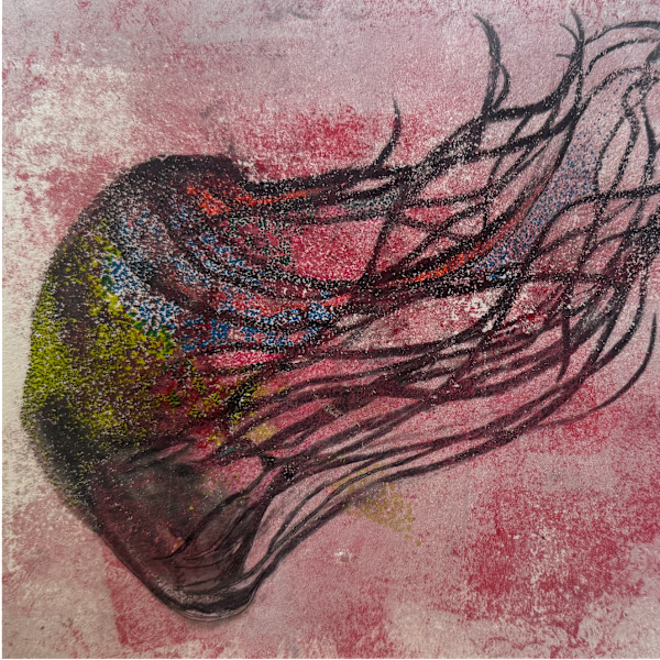 Black Sea Nettle by Scott D.S. Young