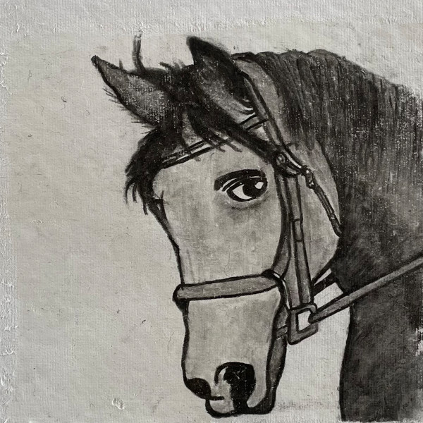 Horse with no name by Scott D.S. Young