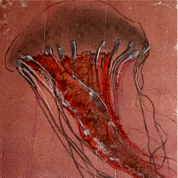 Charcoal  drawing Transfer Gelli Print by Scott D.S. Young