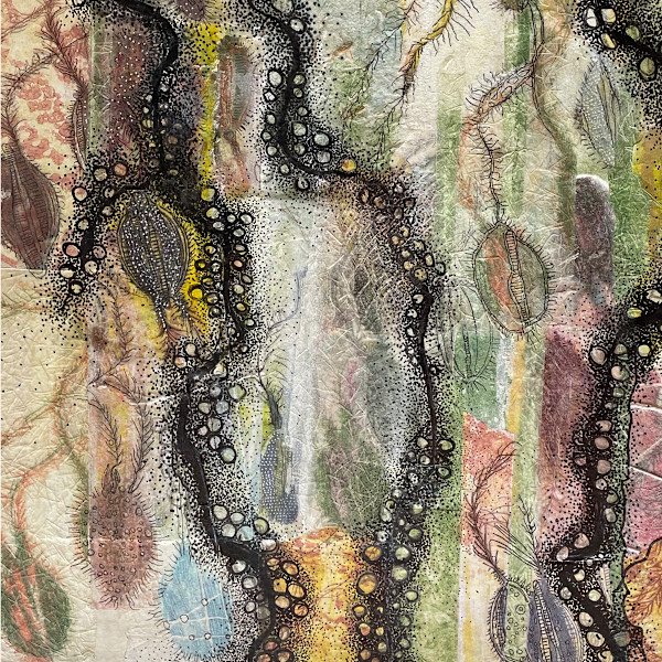 Sea Urchins by Scott D.S. Young