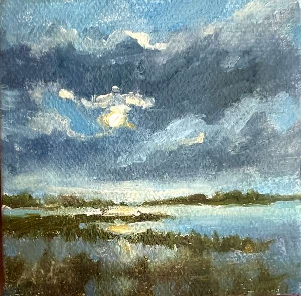 Merry Marsh #11 by Tammy Medlin