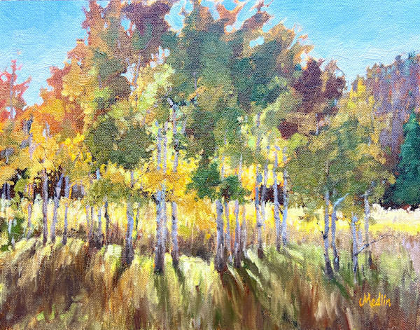 Transitions by Tammy Medlin