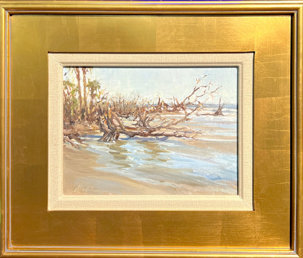 The Guardians by Tammy Medlin