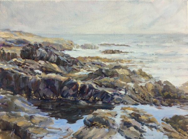 Acadia Shores by Tammy Medlin