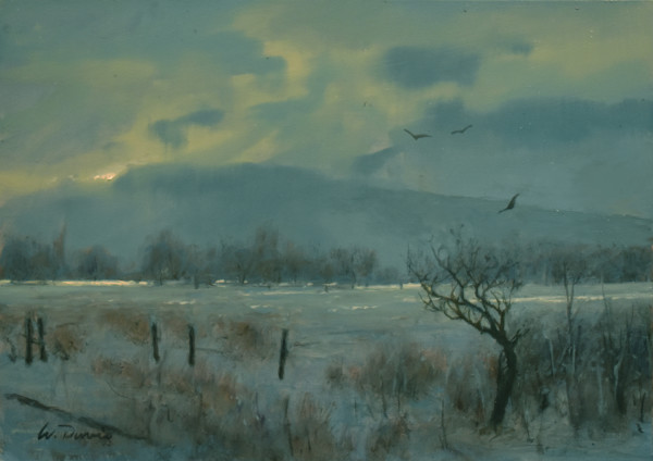Winter Crows by William R Davis