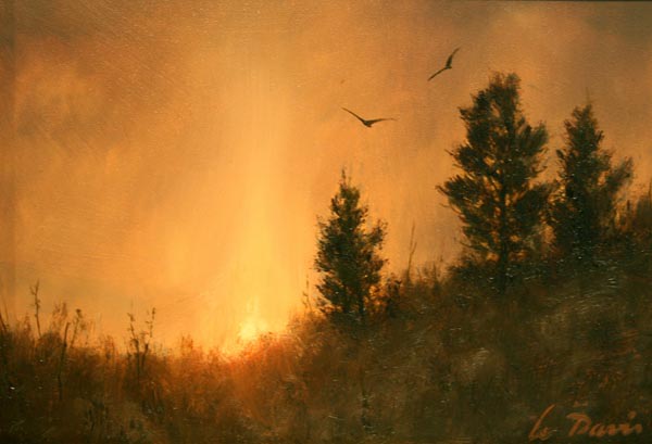 Sunset and Cedars by William R Davis