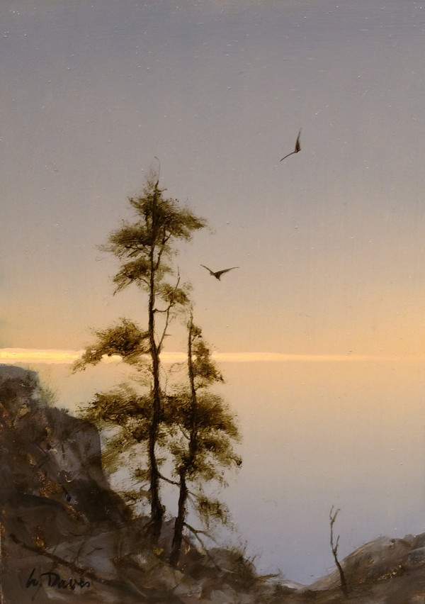 Mountain Cedars #1 by William R Davis