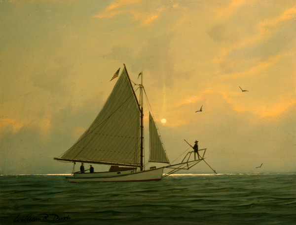 Sword Fishermen by William R Davis
