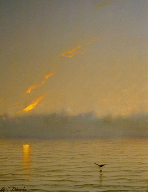 Fire Sky by William R Davis