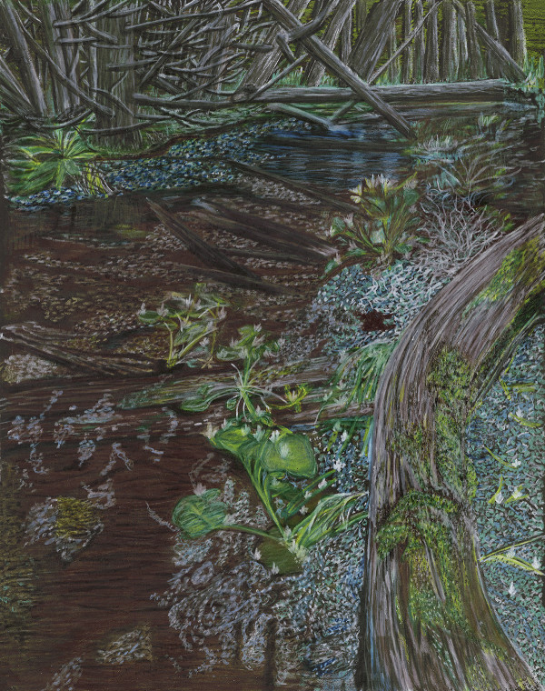 The Swamp by Barbara J Zipperer