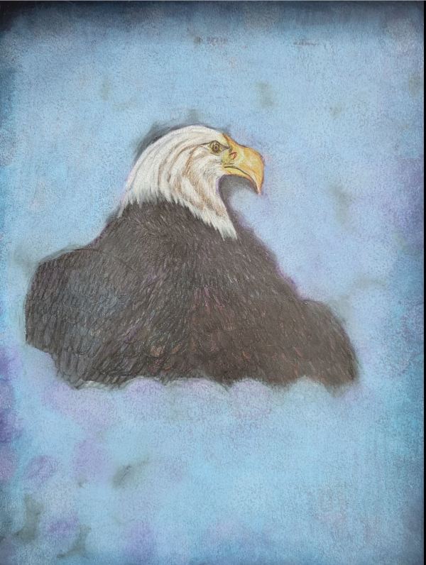 The Eagle Has Landed by Barbara J Zipperer