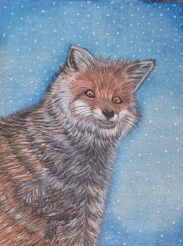 Artic Fox by Barbara J Zipperer