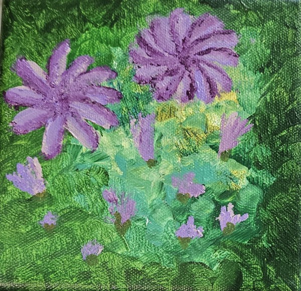 Chicory by Barbara J Zipperer