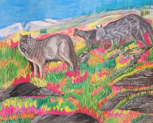 Follow Me Boys! by Barbara J Zipperer
