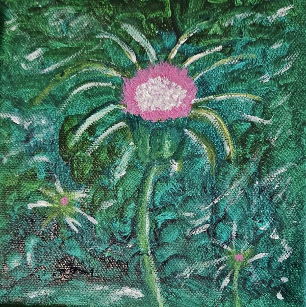 Milk Thistle by Barbara J Zipperer